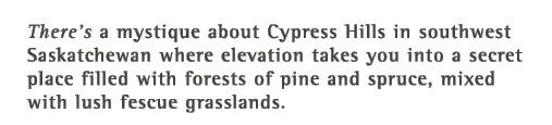 There's a mystique about Cypress Hills in southwest Saskatchewan where elevation takes you into a secret place filled with forests of pine and spruce, mixed with lush fescue grasslands.